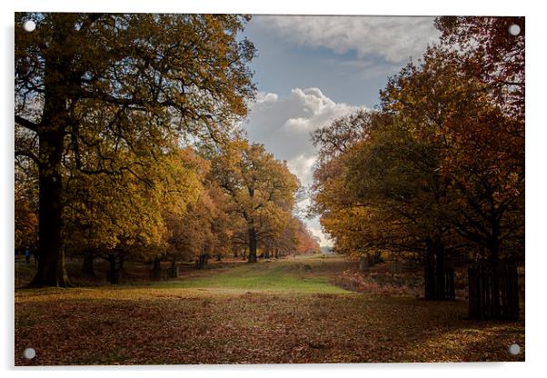 Autumn View Acrylic by Sean Wareing