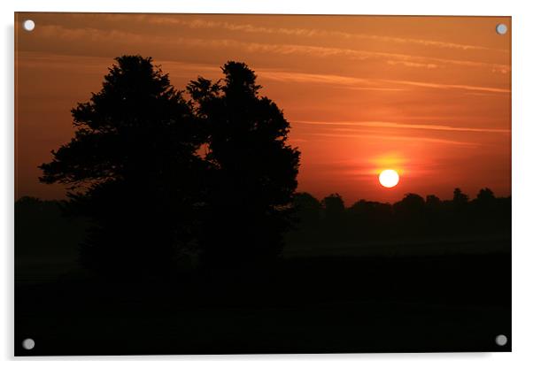 Sunrise in East Dorset Acrylic by Philip Barton