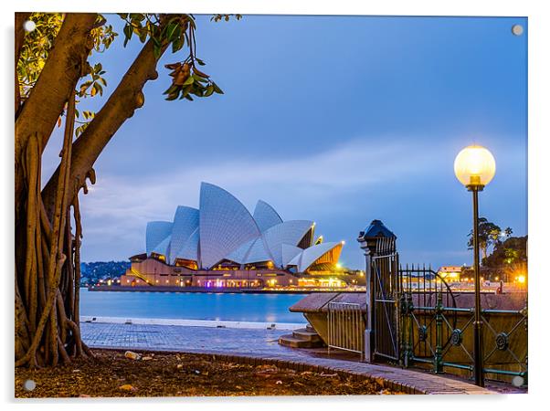 Sydney Opera House Acrylic by peter tachauer