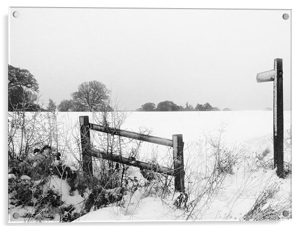 Essex Farm in Snow Acrylic by peter tachauer