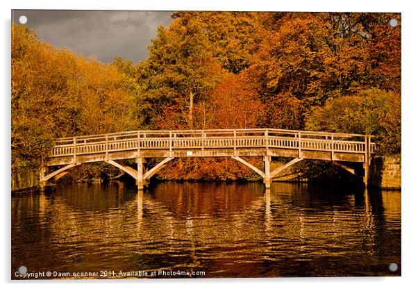 Autumn Colours Acrylic by Dawn O'Connor