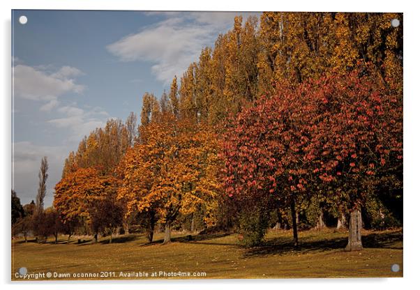 Autumn Colours, Chinbrooke Meadows Acrylic by Dawn O'Connor