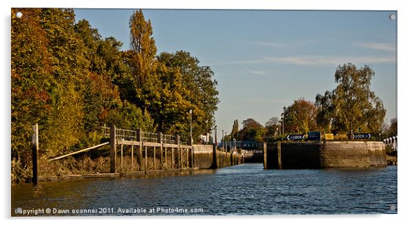 Teddington Lock Acrylic by Dawn O'Connor