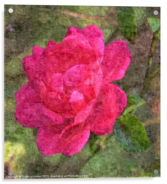 Red Rose Painting Acrylic by Dawn O'Connor