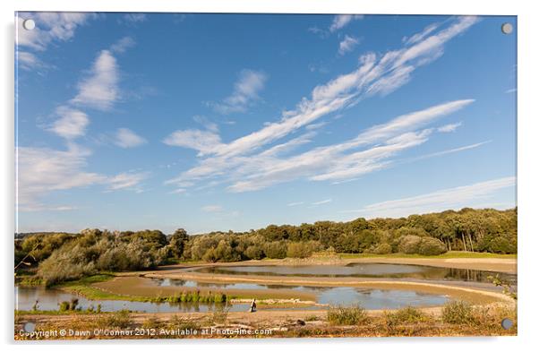 Bough Beech Reservoir Acrylic by Dawn O'Connor