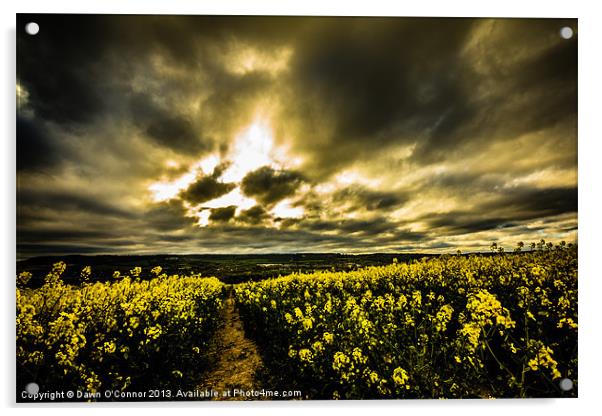 Burham Rapeseed Field Acrylic by Dawn O'Connor