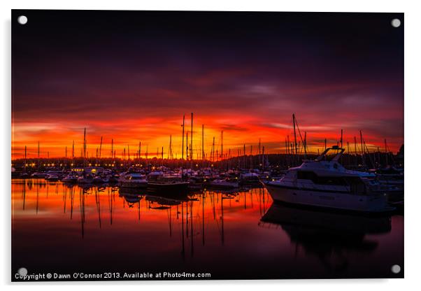 St Marys Island Sunset Acrylic by Dawn O'Connor