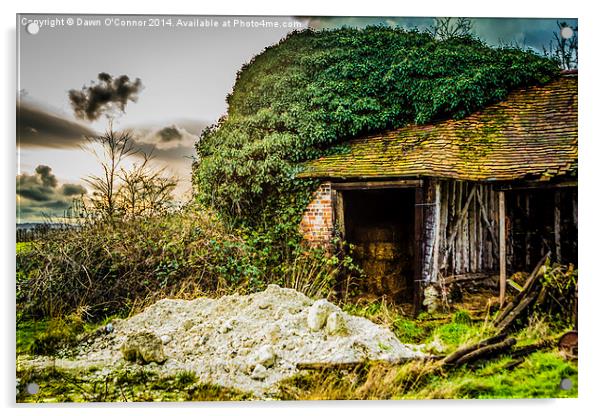 Old Barn Acrylic by Dawn O'Connor