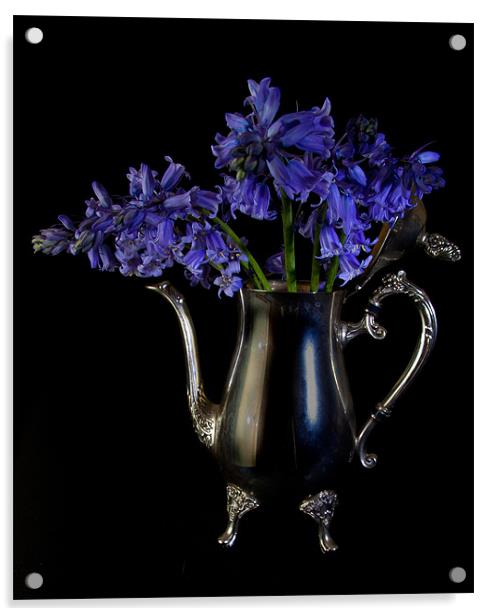 Bluebells in Silver Acrylic by Dawn O'Connor