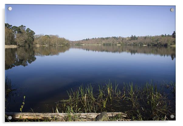 Virginia Water Lakes in Surrey Acrylic by David Woollands