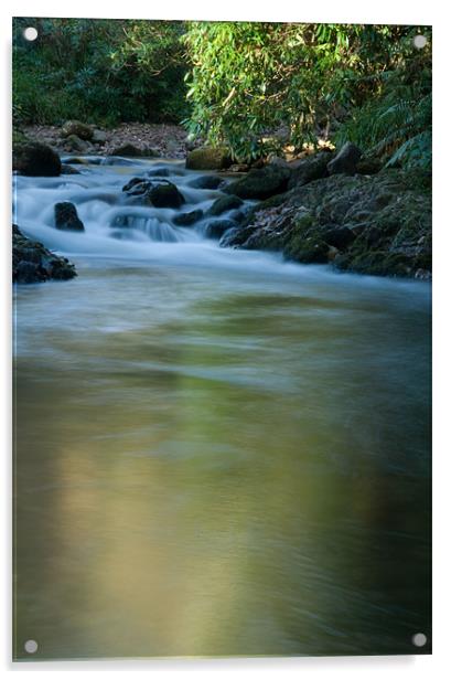 Misty River Acrylic by Declan Howard