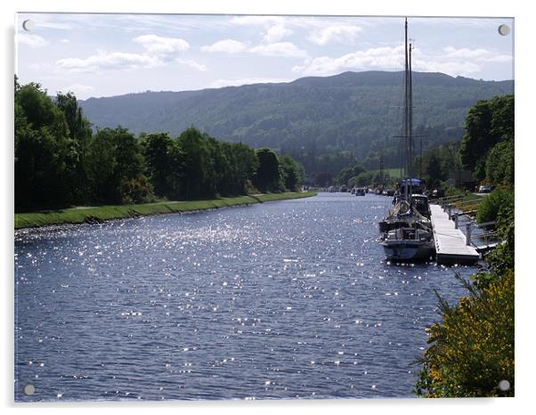 Sunny Day On The Caledonian Canal Acrylic by Nigel G Owen