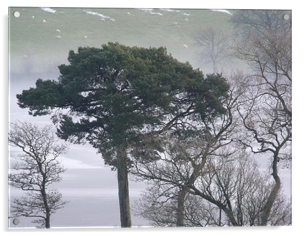 The Tree Acrylic by Nigel G Owen