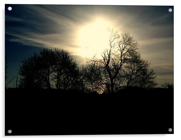 Tree With The Sun Acrylic by Nigel G Owen