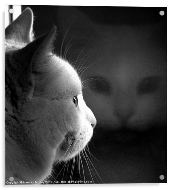 Ghost Cat Acrylic by Hannah Morley