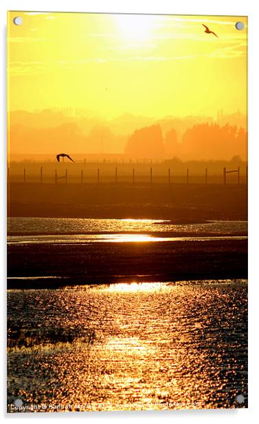 Rye Harbour Nature Reserve, Sunset Acrylic by Hannah Morley