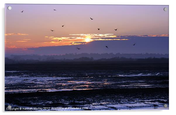Rye Nature Reserve Sunset Acrylic by Hannah Morley