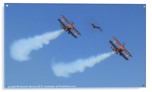 Breitling Wingwalkers Acrylic by Hannah Morley