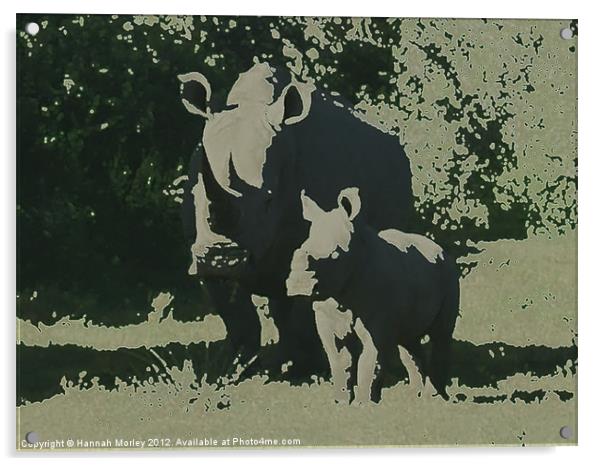 Rhino Mother and Baby Acrylic by Hannah Morley