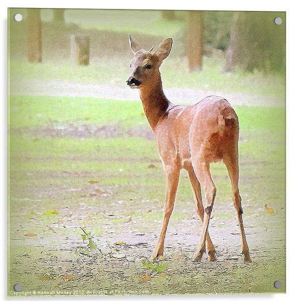 Doe a Deer Acrylic by Hannah Morley