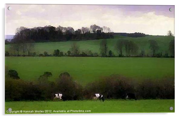 Irish Countryside Acrylic by Hannah Morley
