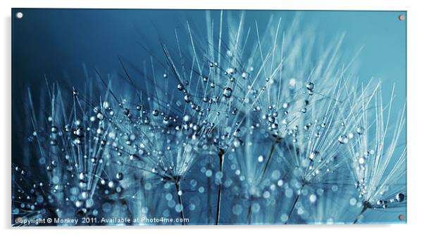 Water Droplets Blue Acrylic by Anthony Michael 