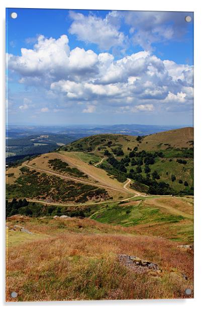 The Malvern Hills Acrylic by Anthony Michael 