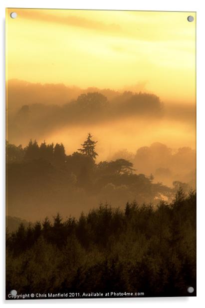 Misty Morning Acrylic by Chris Manfield