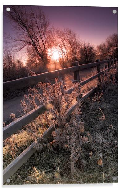 Frosty Morning Sunrise Acrylic by Chris Manfield