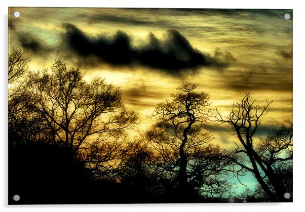 Daybreak Acrylic by Chris Manfield