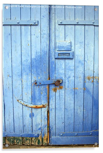 Old warehouse door at Ramsgate marina Acrylic by Sarah Harrington-James