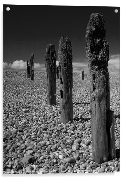 Winchelsea Beach Acrylic by Sarah Harrington-James