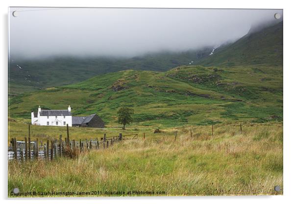Mountain mist Isle of Mull Acrylic by Sarah Harrington-James