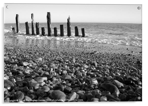 Winchelsea beach, East Sussex Acrylic by Sarah Harrington-James