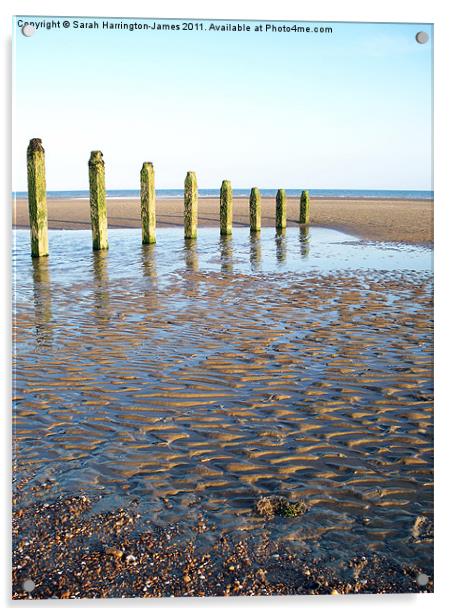 Camber Sands, East Sussex Acrylic by Sarah Harrington-James