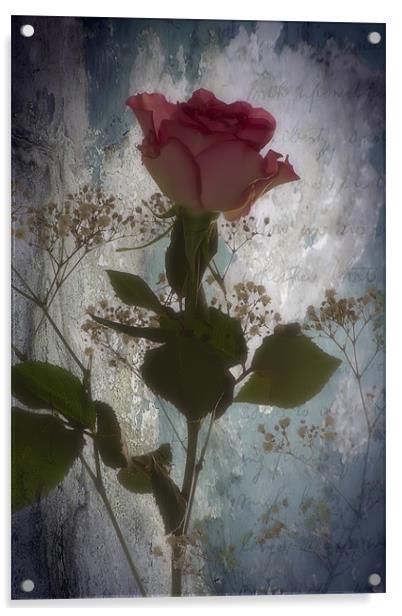 Rose Acrylic by Sam Smith