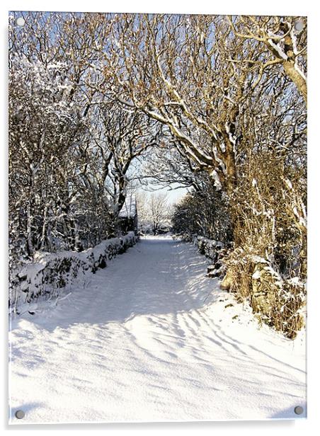 Cwyfan Snow Walk Acrylic by Ian Tomkinson