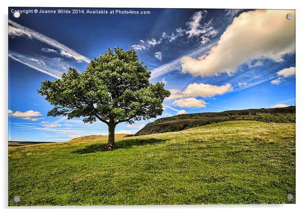 The Lonley Tree at Dovestones Acrylic by Joanne Wilde