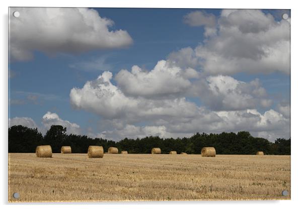 Hay Field Scene Acrylic by Simon H