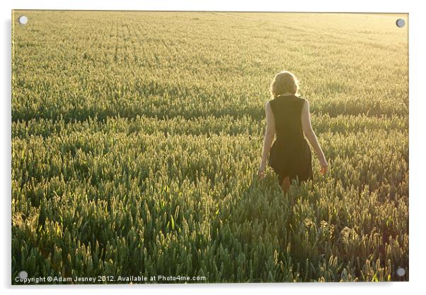 Girl in cornfield Acrylic by Adam Jesney