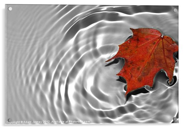 Leaf Ripple Acrylic by Adam Jesney