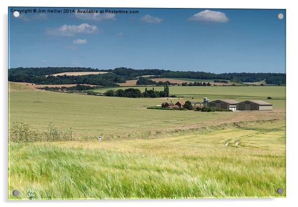 Wheat fields Chiltern hills Acrylic by Jim Hellier