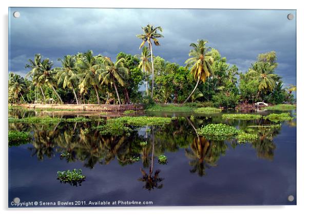 Palm Trees in a Storm Kerala Acrylic by Serena Bowles