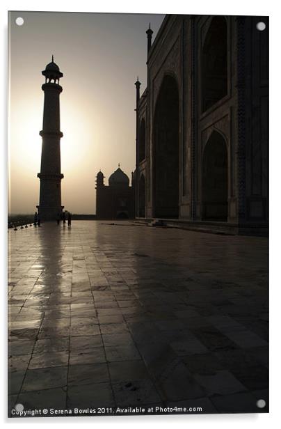 Taj Mahal in the Morning Light Acrylic by Serena Bowles