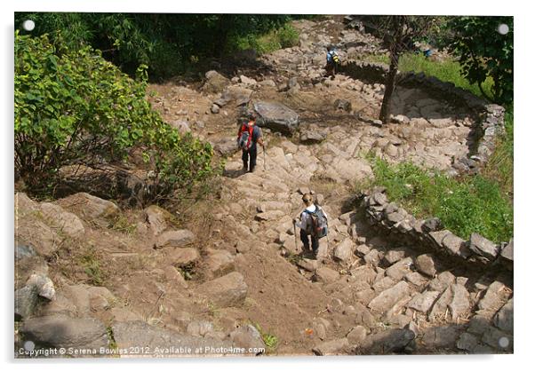 Descending Steps near Tikhedhunga Acrylic by Serena Bowles