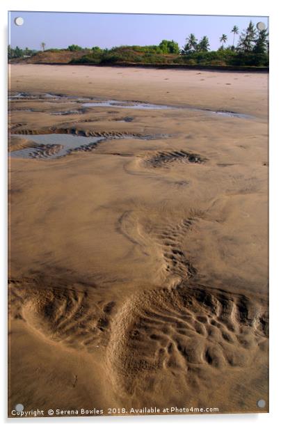 Receding Tide, Wide Sandy Beach, Goa Acrylic by Serena Bowles