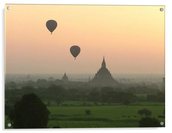 Balloons at Bagan Acrylic by Serena Bowles