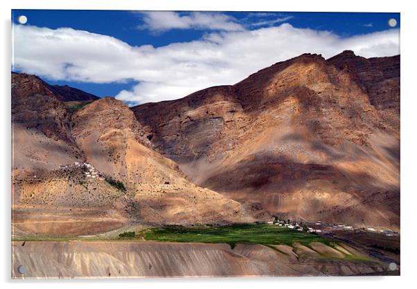 Ki Monastery in Spiti Valley Acrylic by Serena Bowles