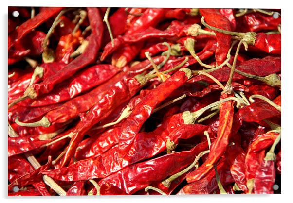 Red Chillies Drying in Kathmandu Acrylic by Serena Bowles