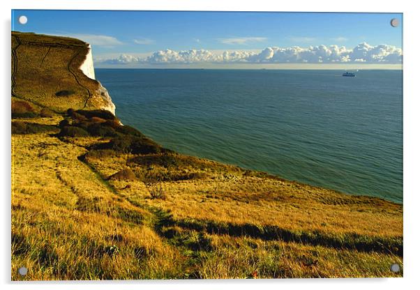 White Cliffs of Dover - Drop Off, England Acrylic by Serena Bowles